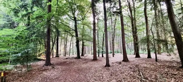 Wandelroute Door het Natuurgebied van Utrecht